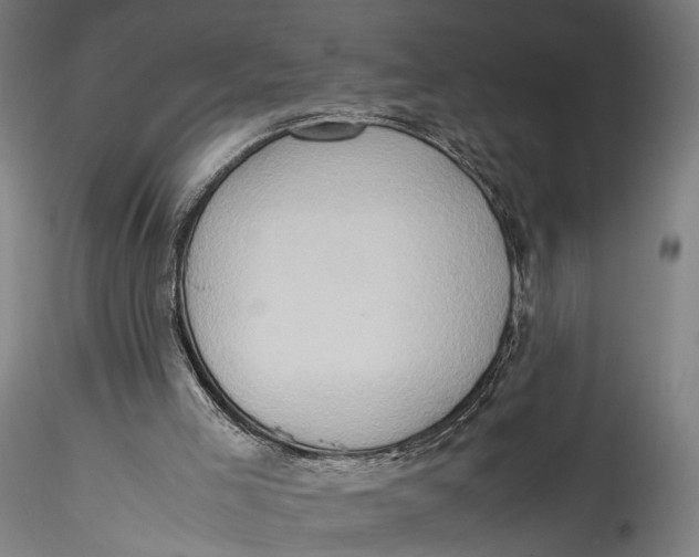 X0000115540005200911271421