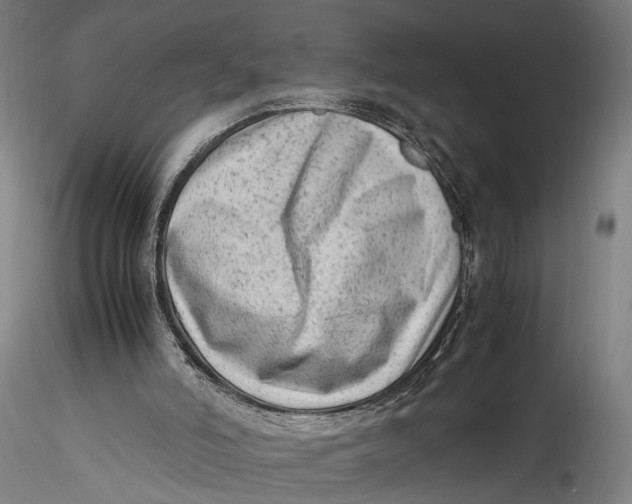 X0000115540006200911271421