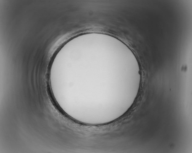 X0000115540007200911271421