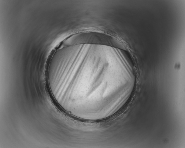 X0000115540008200911271421