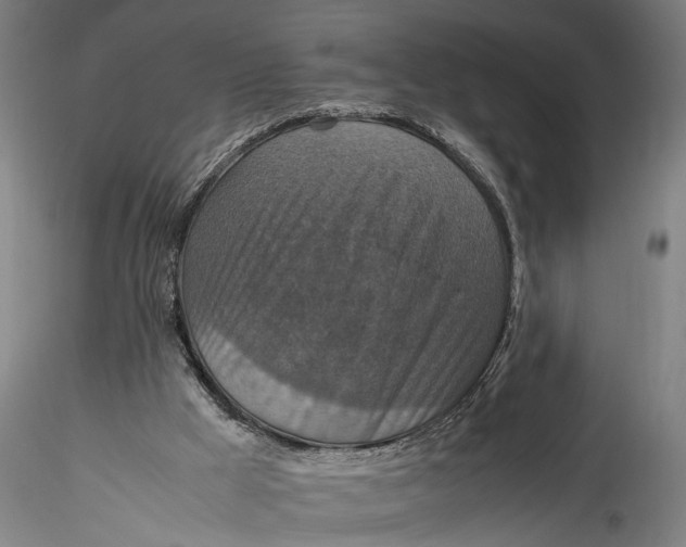 X0000115540009200911271421