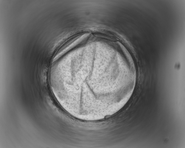 X0000115540010200911271421