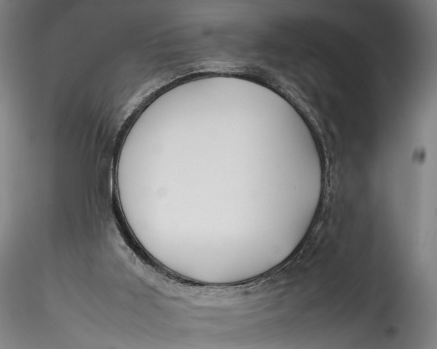 X0000115540011200911271421