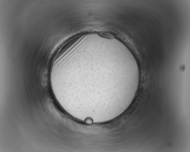 X0000115540012200911271421