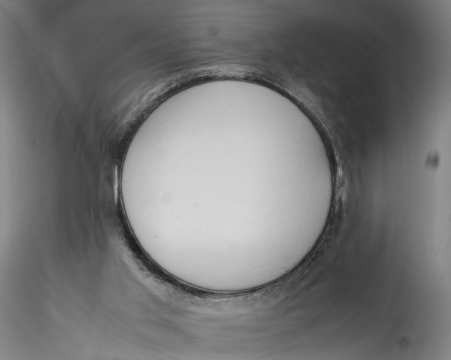 X0000115540013200911271421