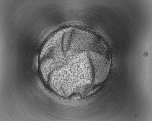 X0000115540014200911271421