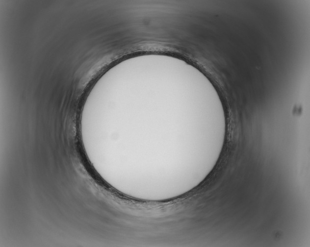 X0000115540015200911271421