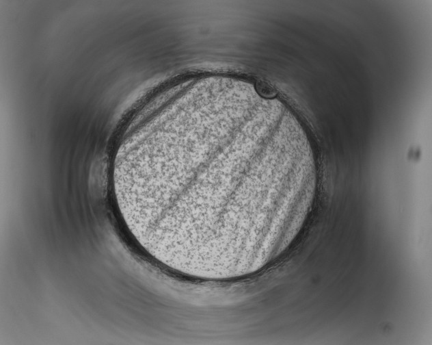 X0000115540016200911271421