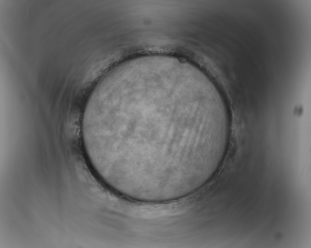 X0000115540017200911271421