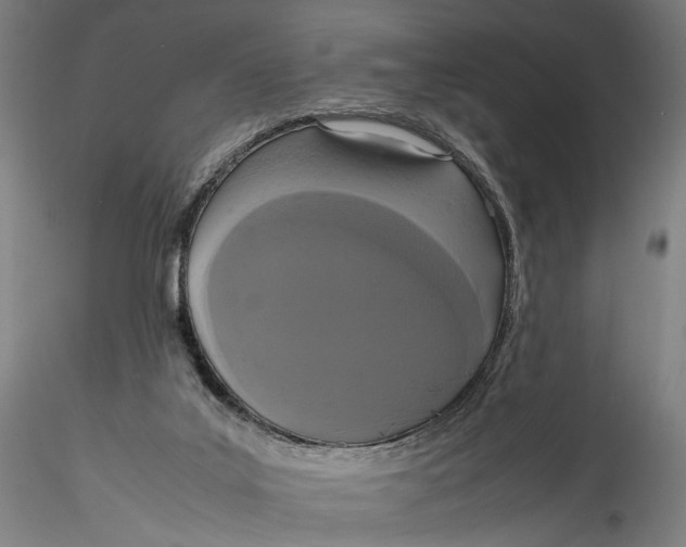 X0000115540019200911271421