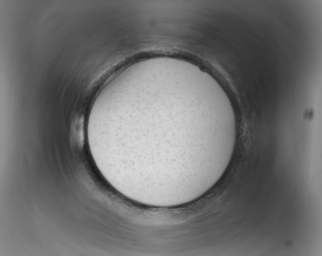 X0000115540020200911271421