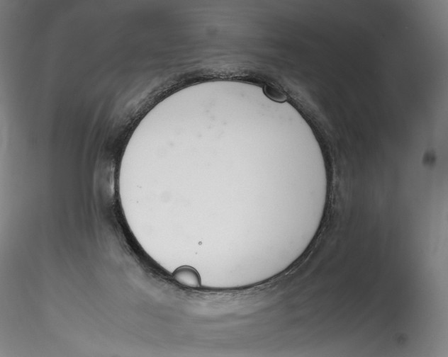 X0000115540021200911271421