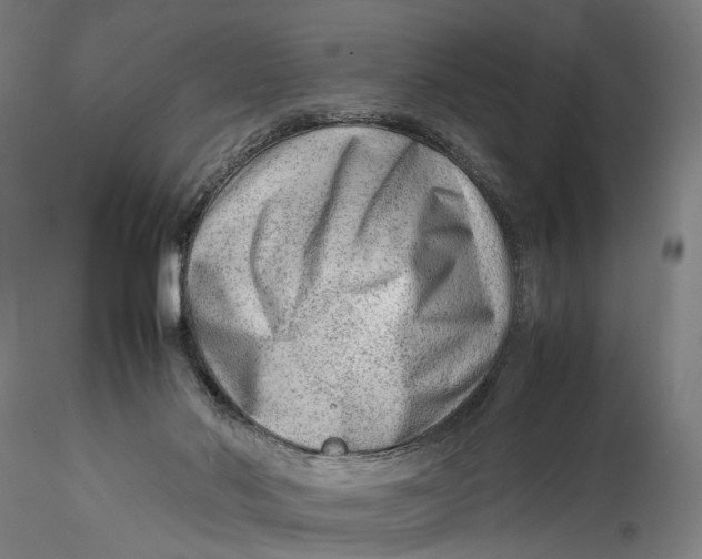 X0000115540022200911271421