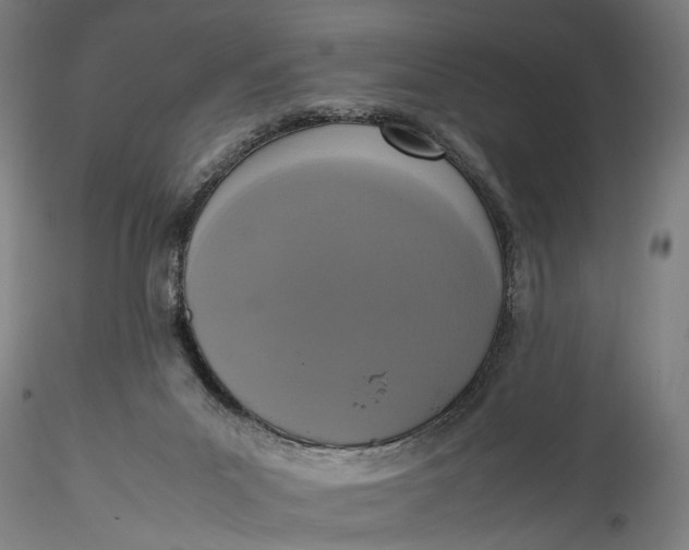 X0000115540023200911271421