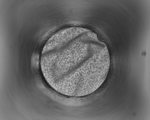 X0000115540024200911271421