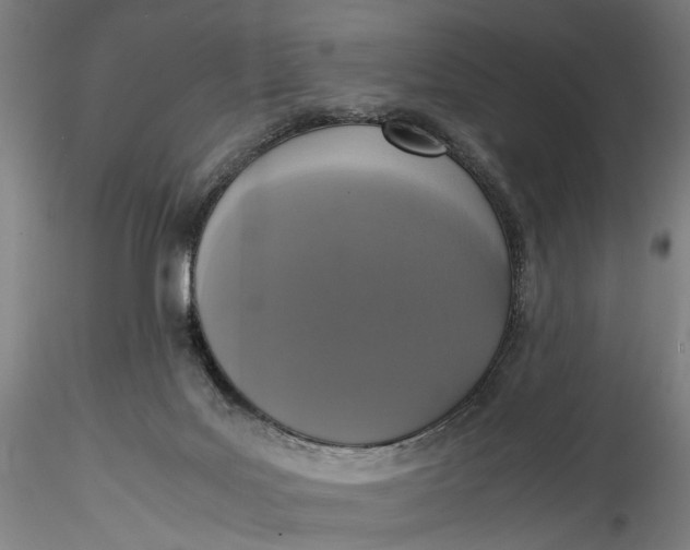 X0000115540027200911271421