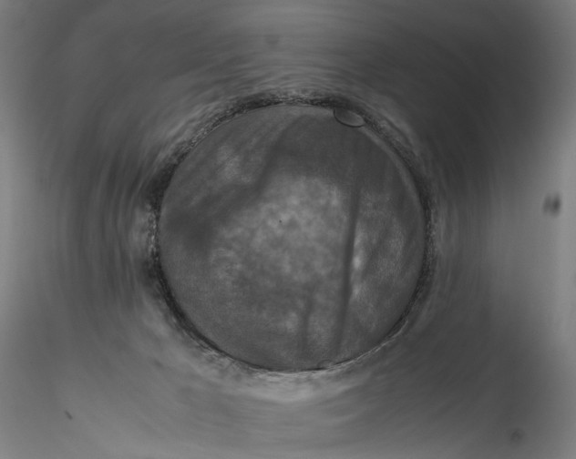 X0000115540029200911271421