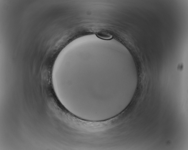 X0000115540031200911271420