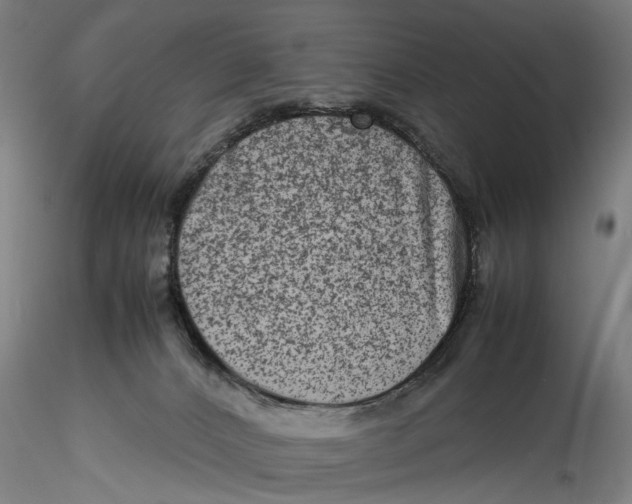 X0000115540032200911271420