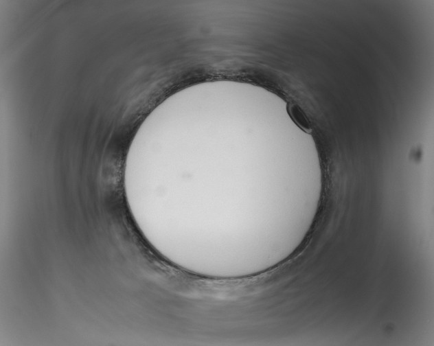 X0000115540033200911271420