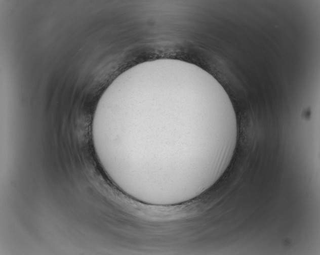 X0000115540034200911271420