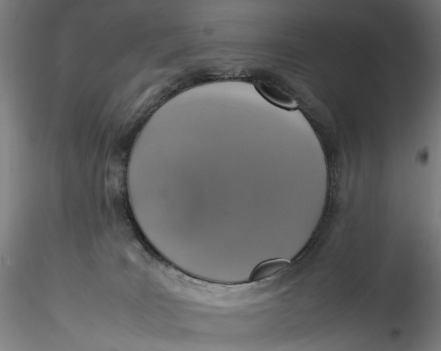 X0000115540035200911271420