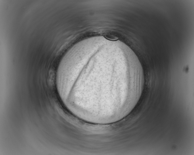 X0000115540036200911271420