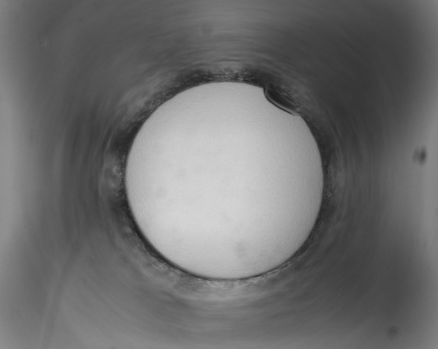 X0000115540037200911271420