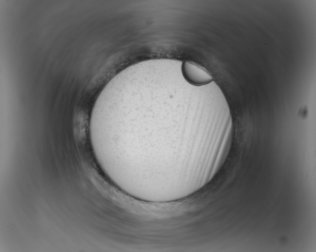 X0000115540038200911271420