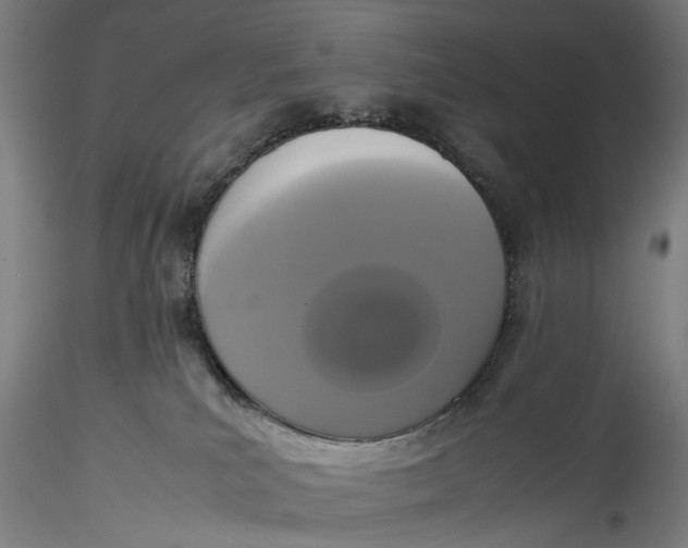 X0000115540039200911271420