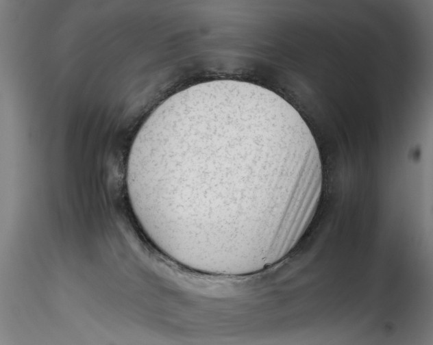 X0000115540040200911271420