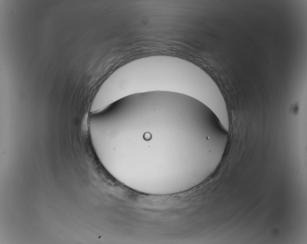 X0000115540041200911271420