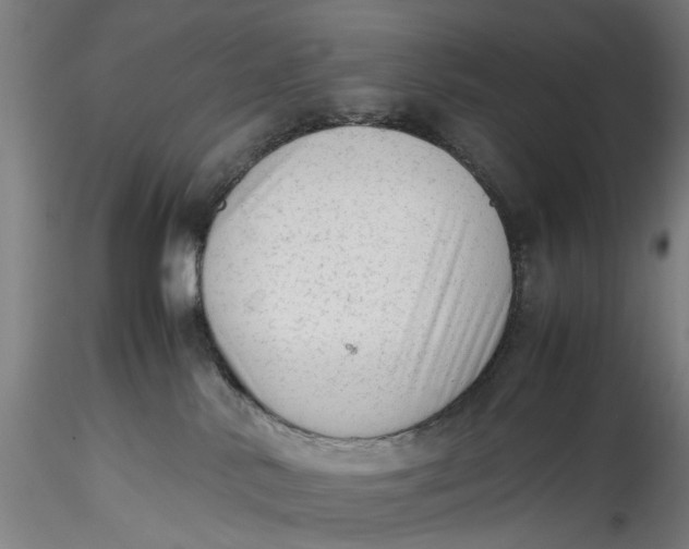 X0000115540042200911271420