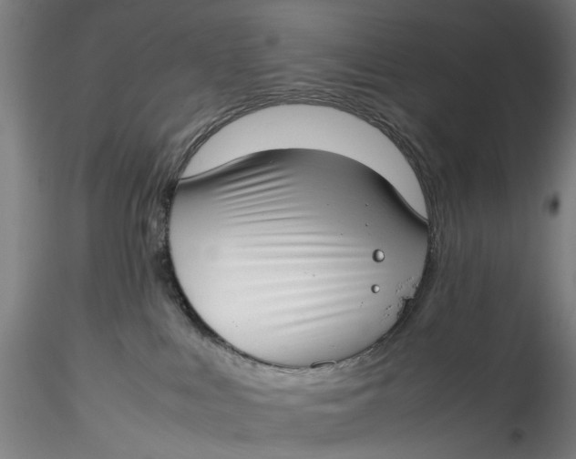 X0000115540043200911271420