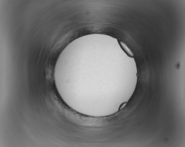 X0000115540044200911271420