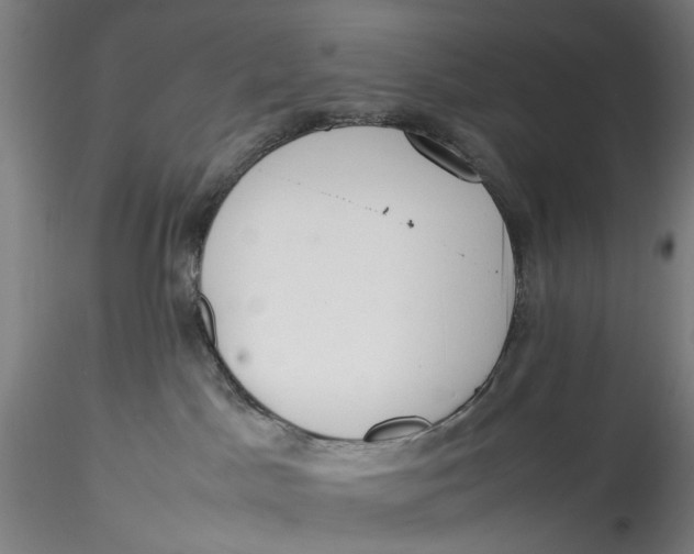 X0000115540045200911271420