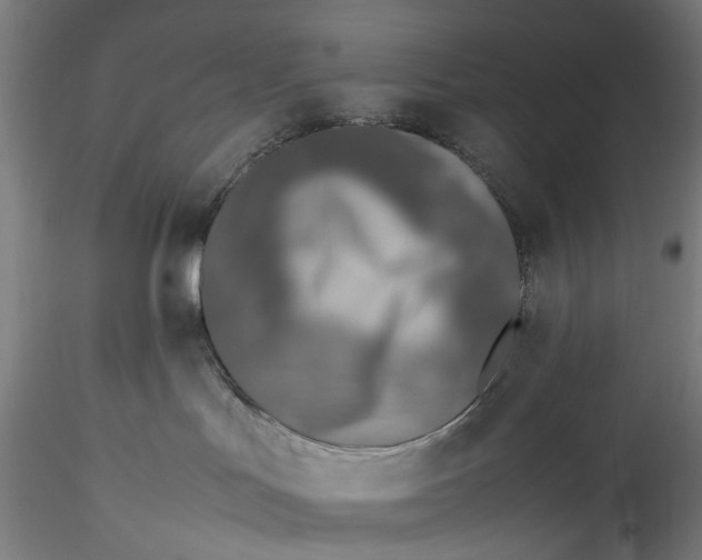 X0000115540047200911271420