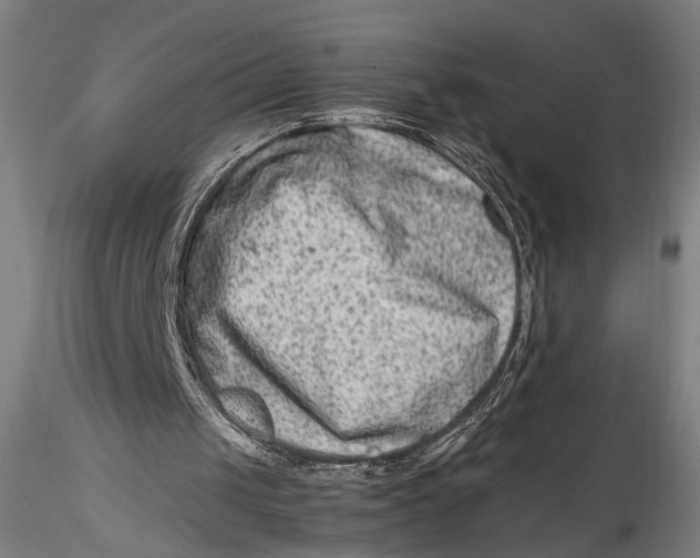 X0000115540049200911271420