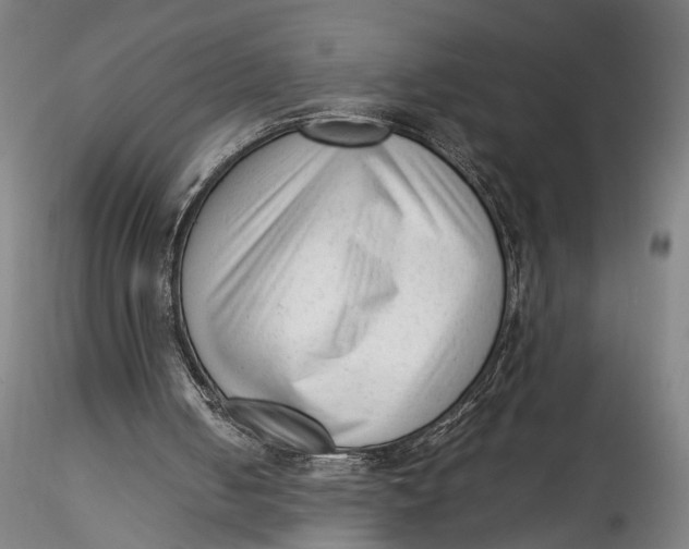 X0000115540050200911271420