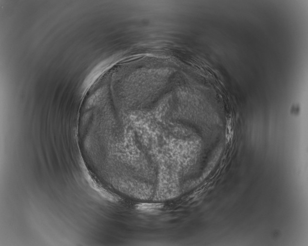 X0000115540051200911271420