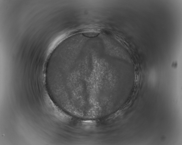 X0000115540053200911271420