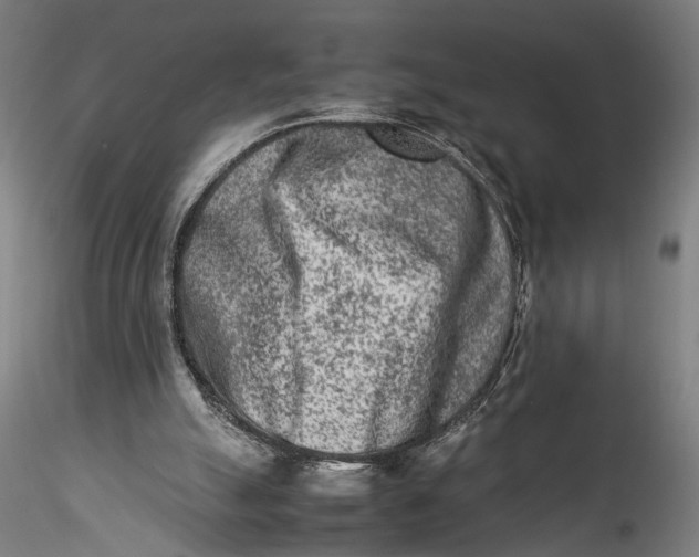 X0000115540055200911271420