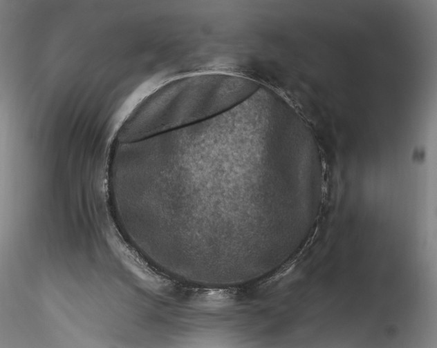 X0000115540056200911271420