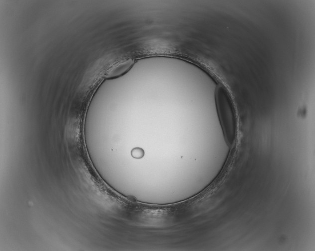 X0000115540057200911271420