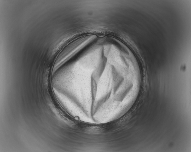 X0000115540058200911271420