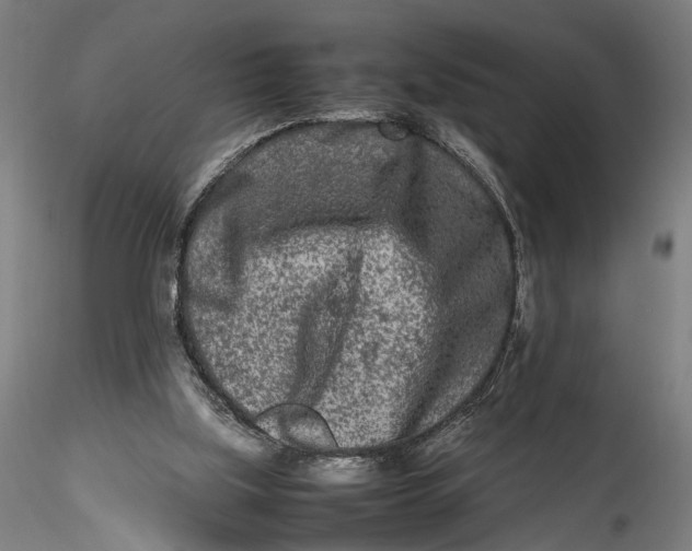 X0000115540059200911271420