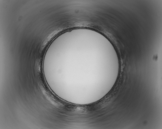 X0000115540060200911271420