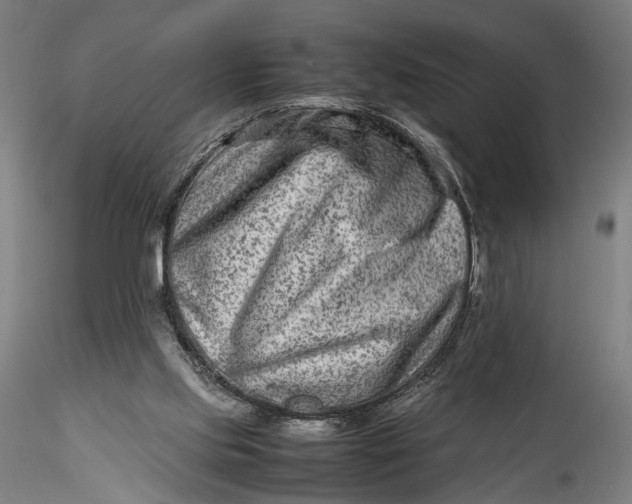 X0000115540061200911271420