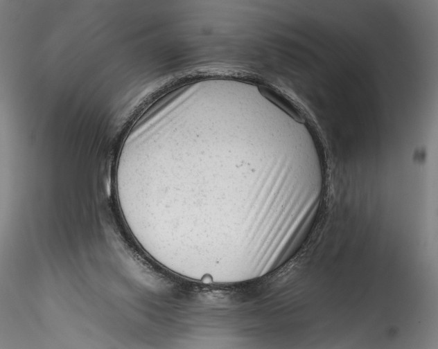 X0000115540062200911271420