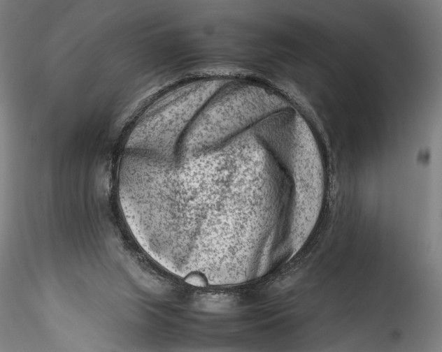 X0000115540063200911271420